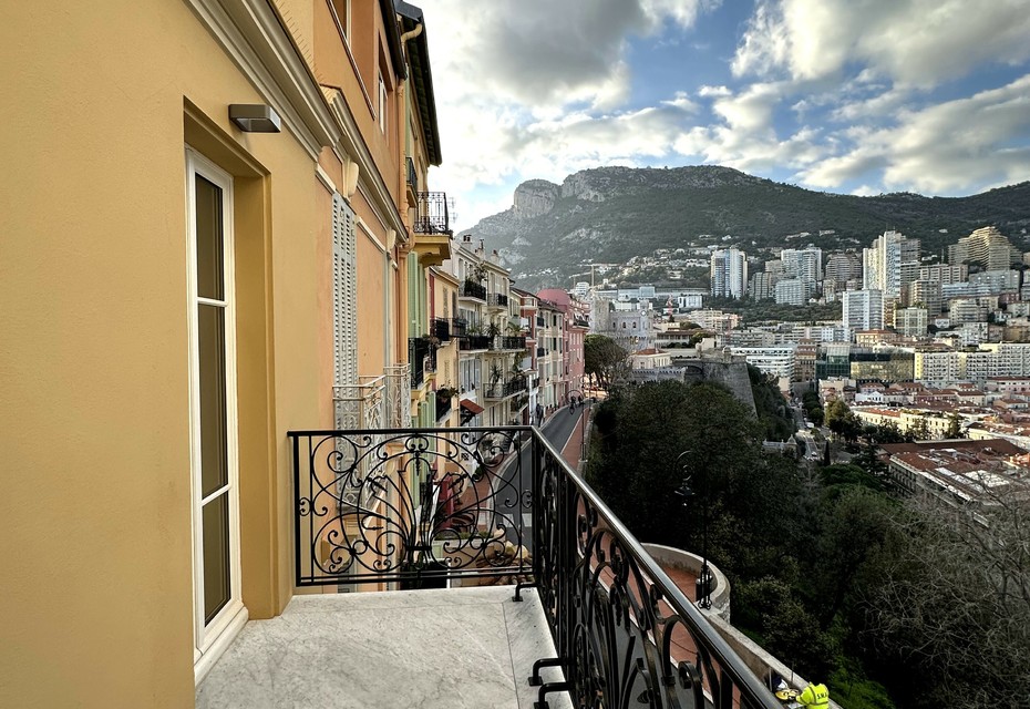 STUDIO PANORAMIC VIEW - ROCHER